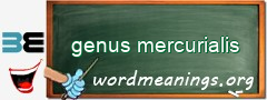 WordMeaning blackboard for genus mercurialis